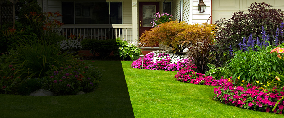 Auburndale Landscapers